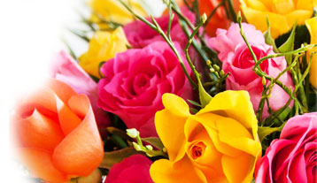 Blumentopf bepflanzen